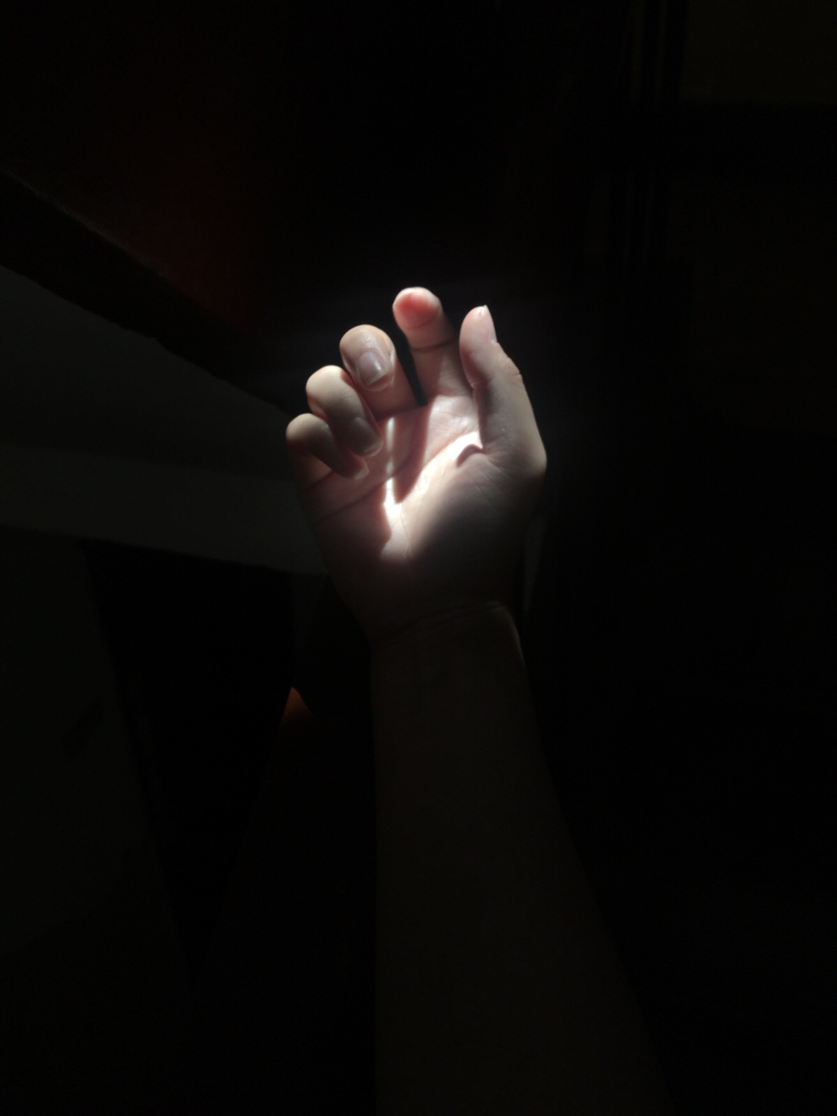 你是我手里握不住的光