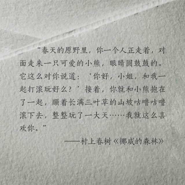 文字 村上春树 『挪威的森林』