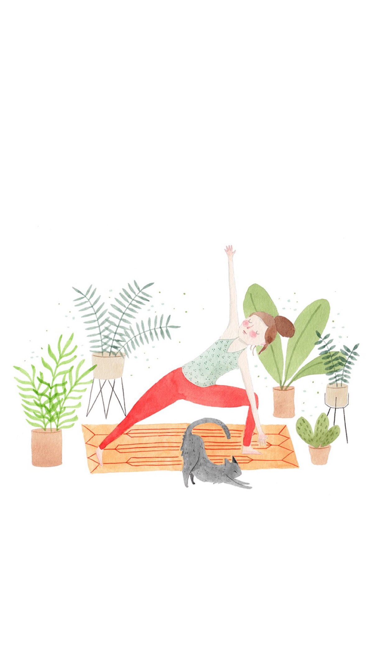 瑜伽 插画 小猫可爱 小清新壁纸