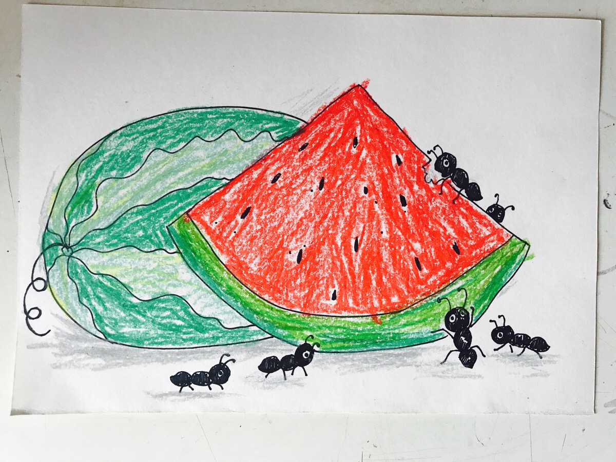 蚂蚁吃西瓜 简笔画图片