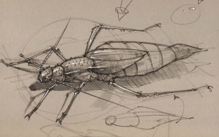richard peter han - 生物速写.个人主页:http://t.cn/zqju37u