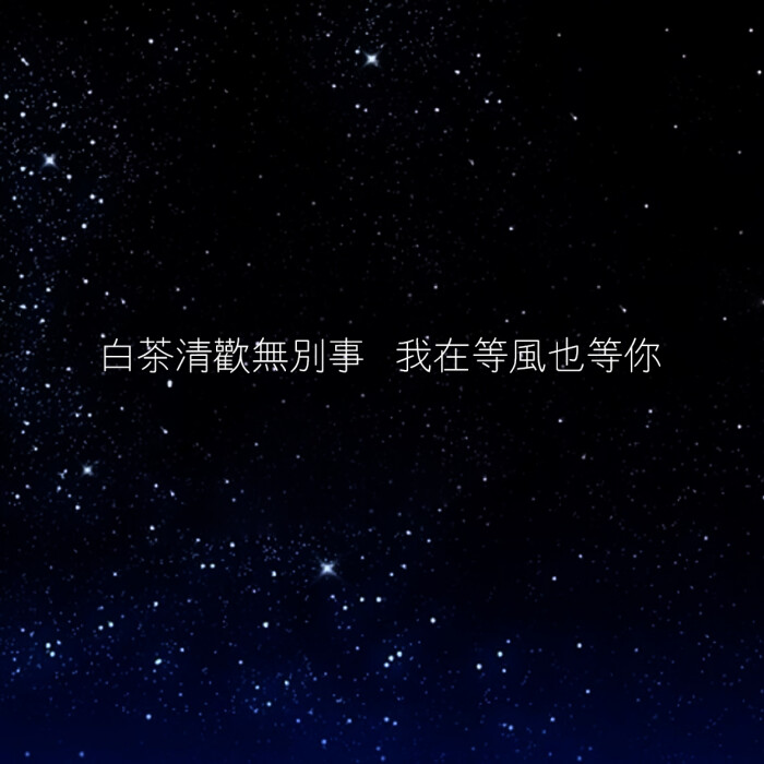 白茶清欢无别事,我在等风也等你