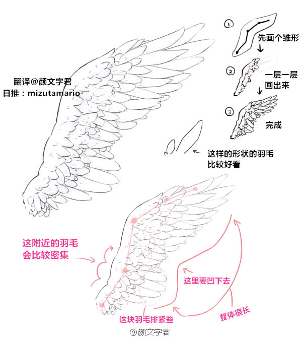 羽翼