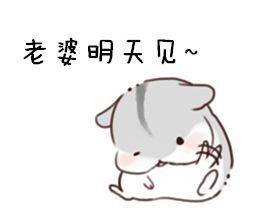 hamham 仓鼠 表情包 老婆