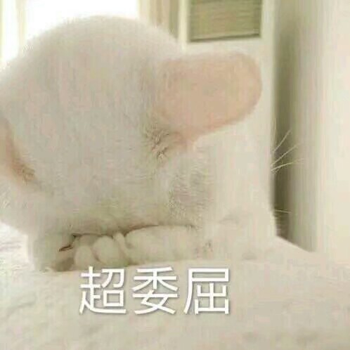 小可爱の表情包 喵咪 超委屈