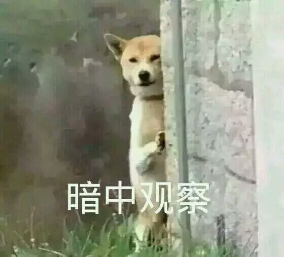 暗中观察