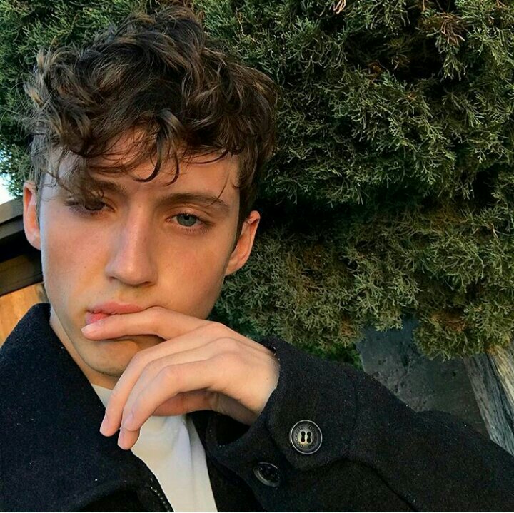 troye sivan[戳爷][头像][壁纸][动图]