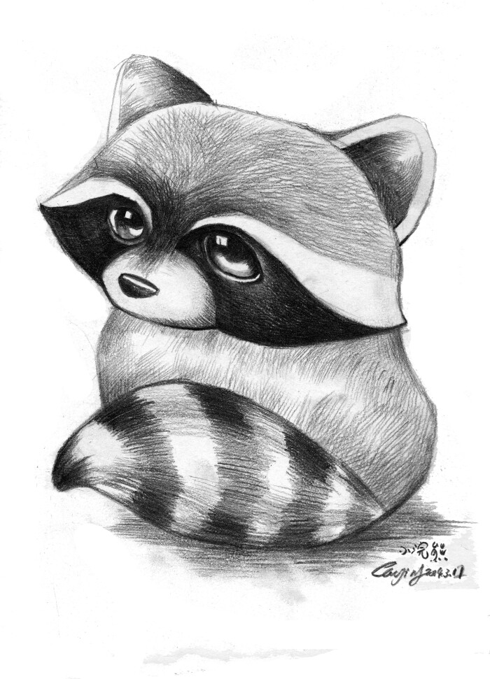 小浣熊 