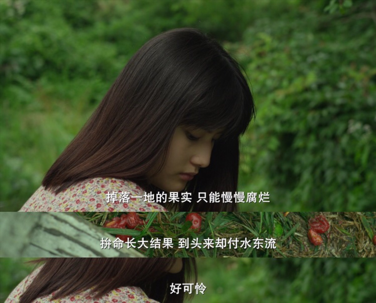 小森林里面女主角对着掉落一地的胡颓子果实发出的感慨,电影好好看