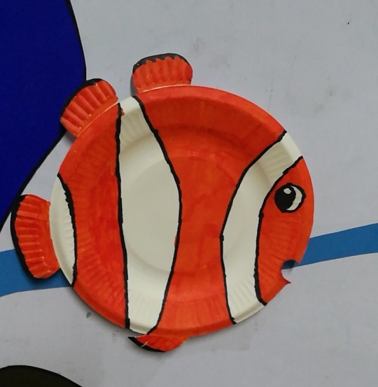纸盘小丑鱼