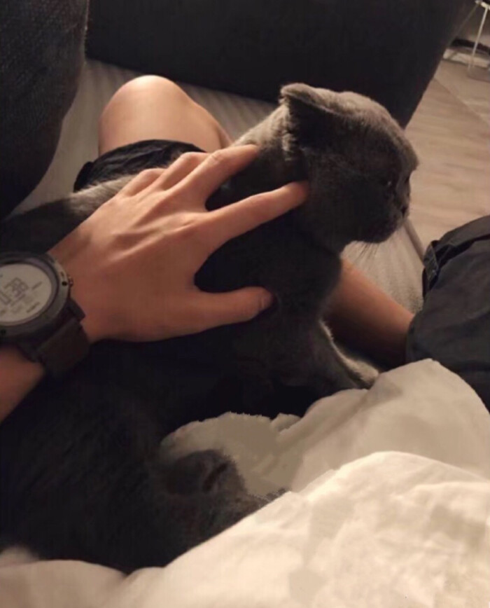 手控 半身 男头