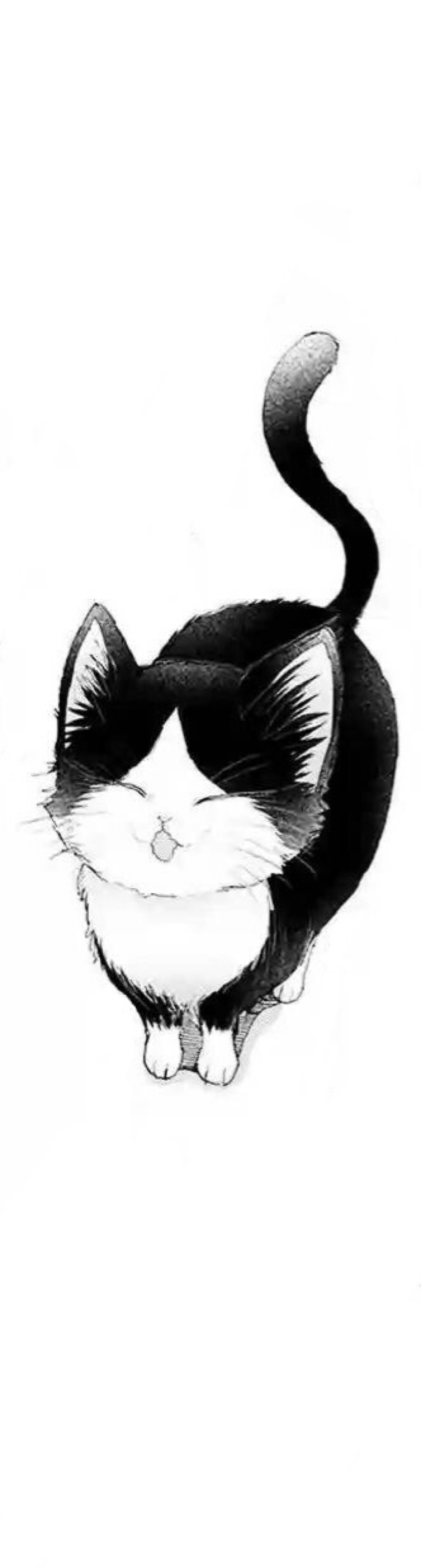猫,漫画,黑白