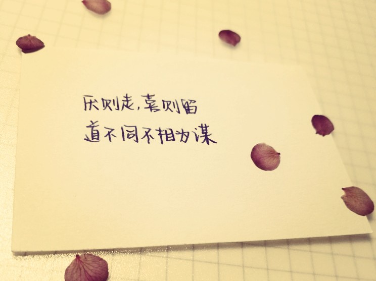 山水一程,相逢何幸,愿且行且珍惜~mua