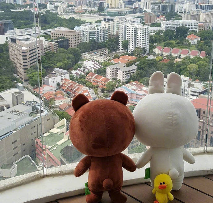 line friends 头像 壁纸 可妮兔 布朗熊 莎莉鸭