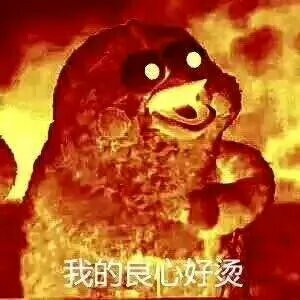 "你的良心不会痛吗""会啊,我现在的良心就好烫"【标新立异的鹦鹉兄弟