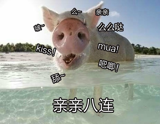 猪位早安~ 这周末我沉迷古墓丽影微博都没看,,私信我慢慢回.