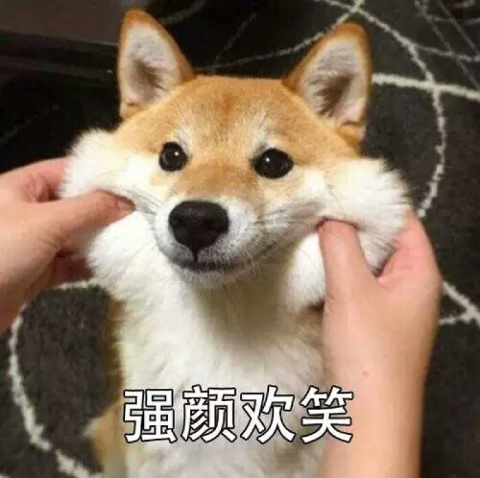 萌宠表情包