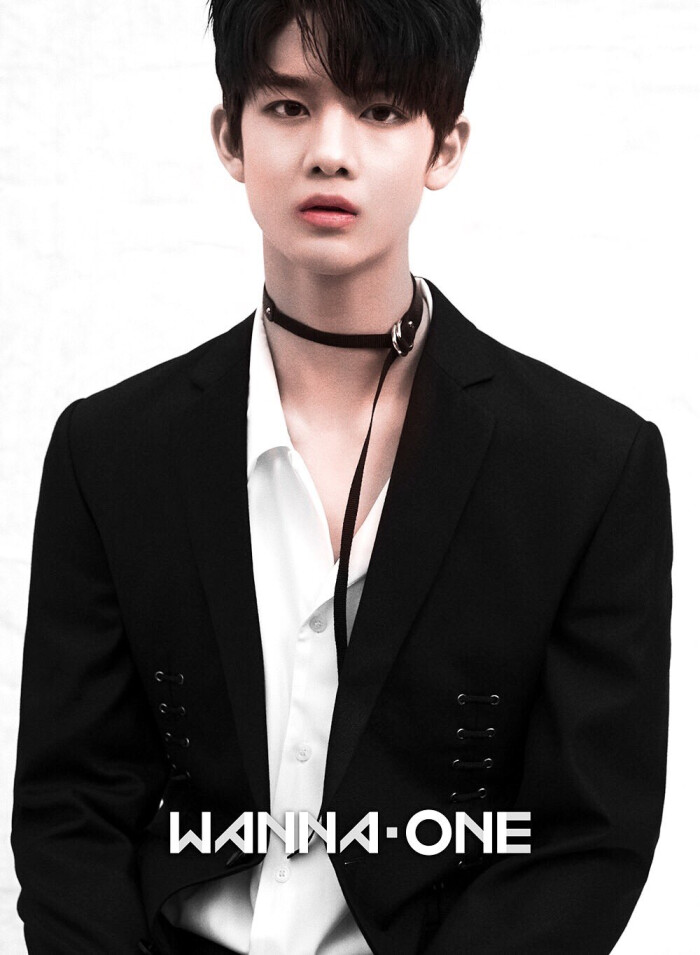 裴珍映只走花路吧