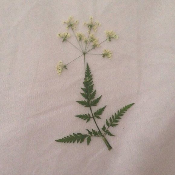 头像女生背景签名一套lolid的网名好听图片