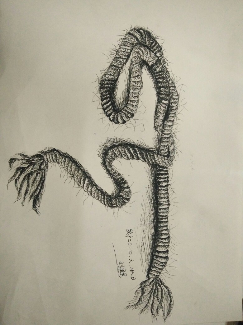 麻绳素描画图片