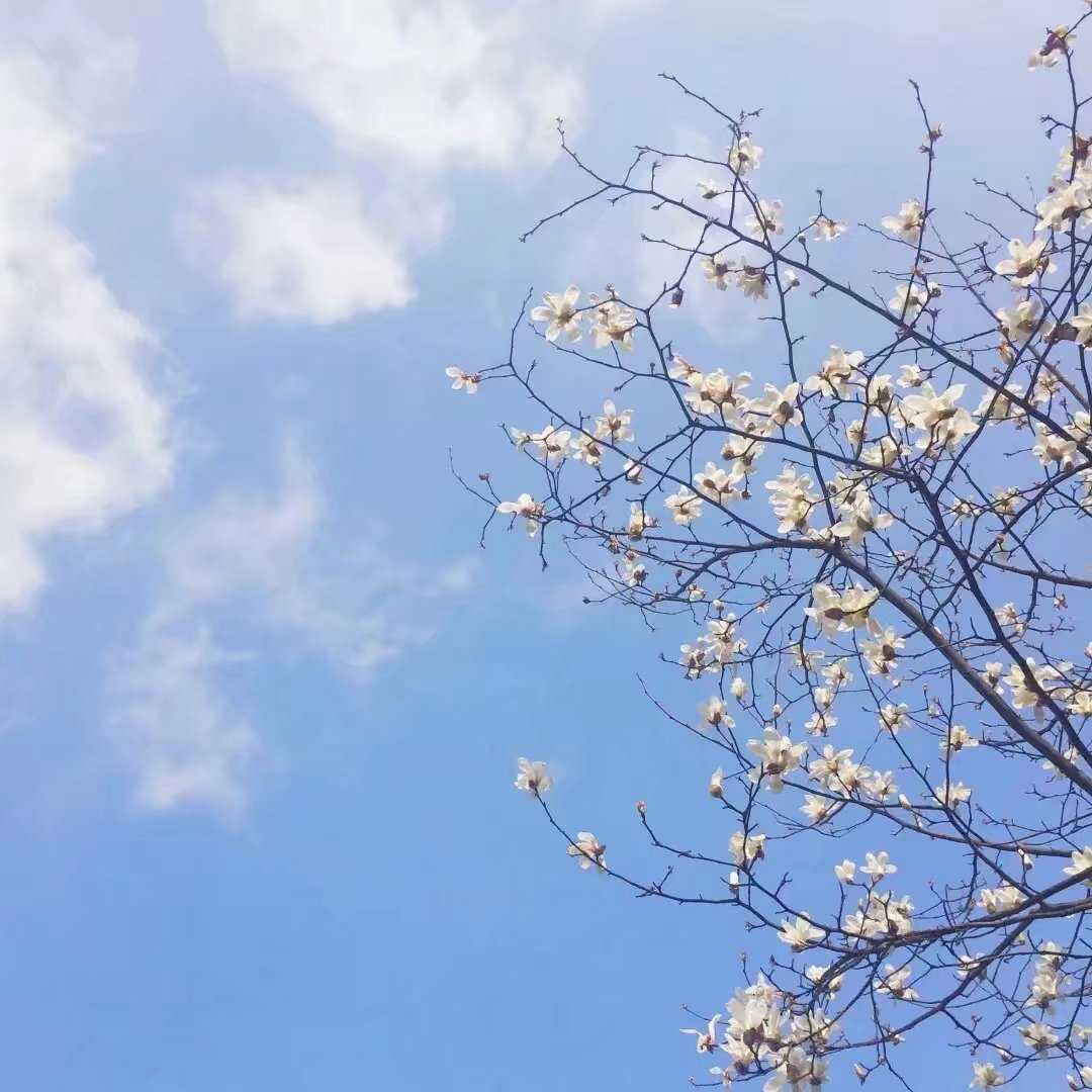 qq背景图/潮流