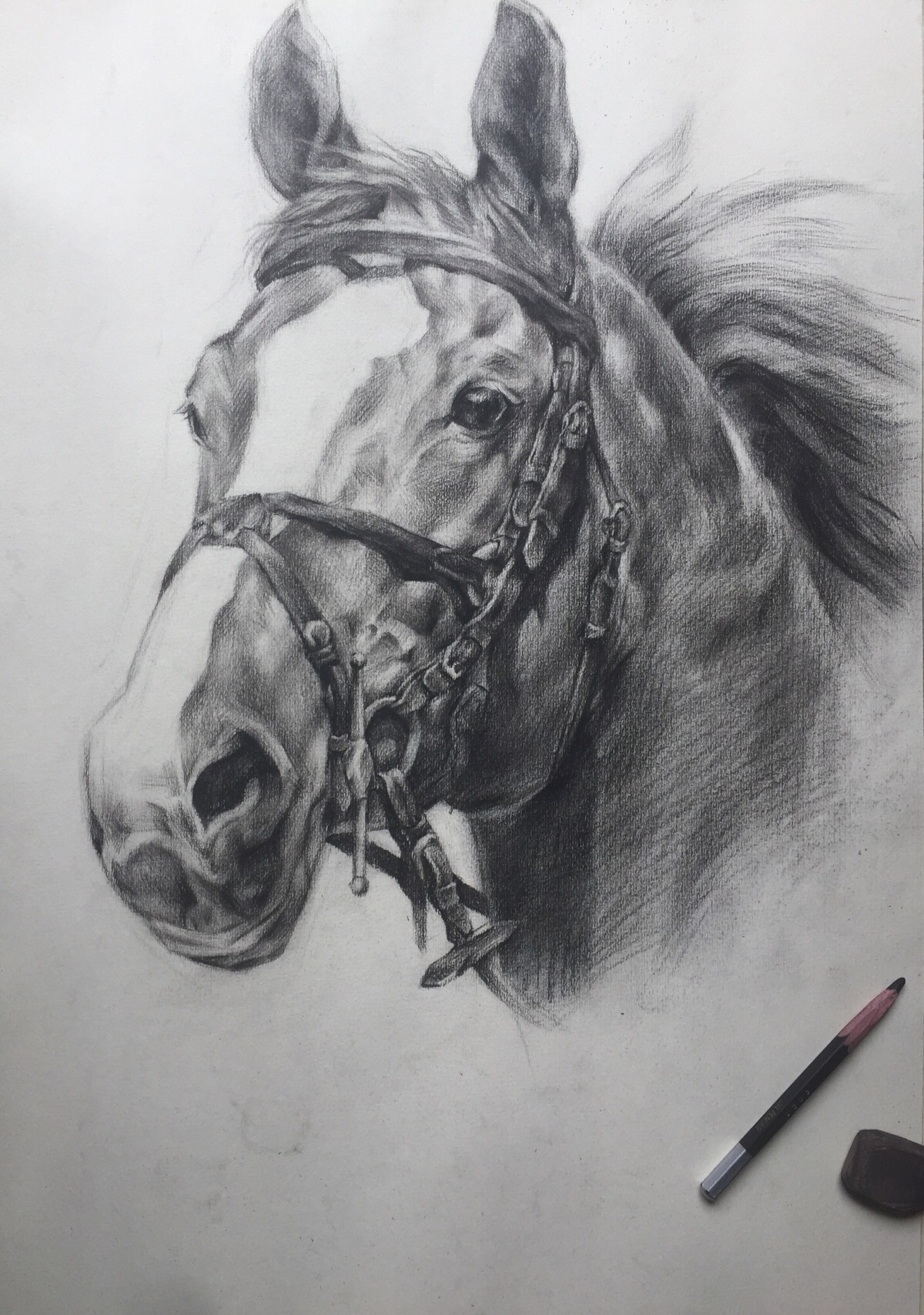 手绘素描 动物 马 黑白画 需要教程的宝宝可以看楼楼的文章( ω )