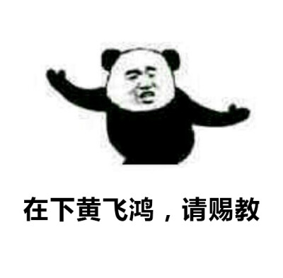 熊猫人表情包武术图片