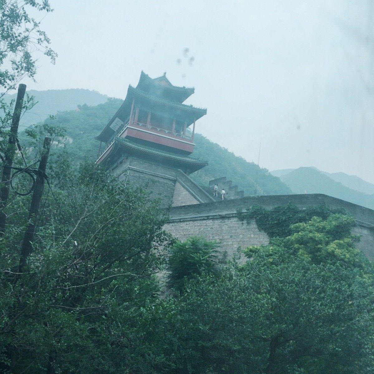 空山新雨后,自挂东南枝