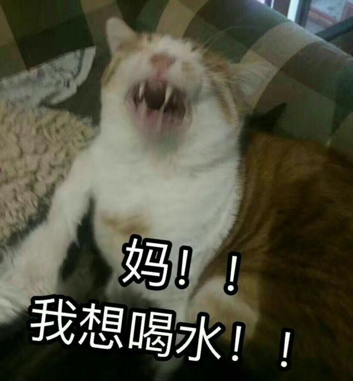 亲爱的妈妈,你真的太伟大了,我真的不能没有你…… via.