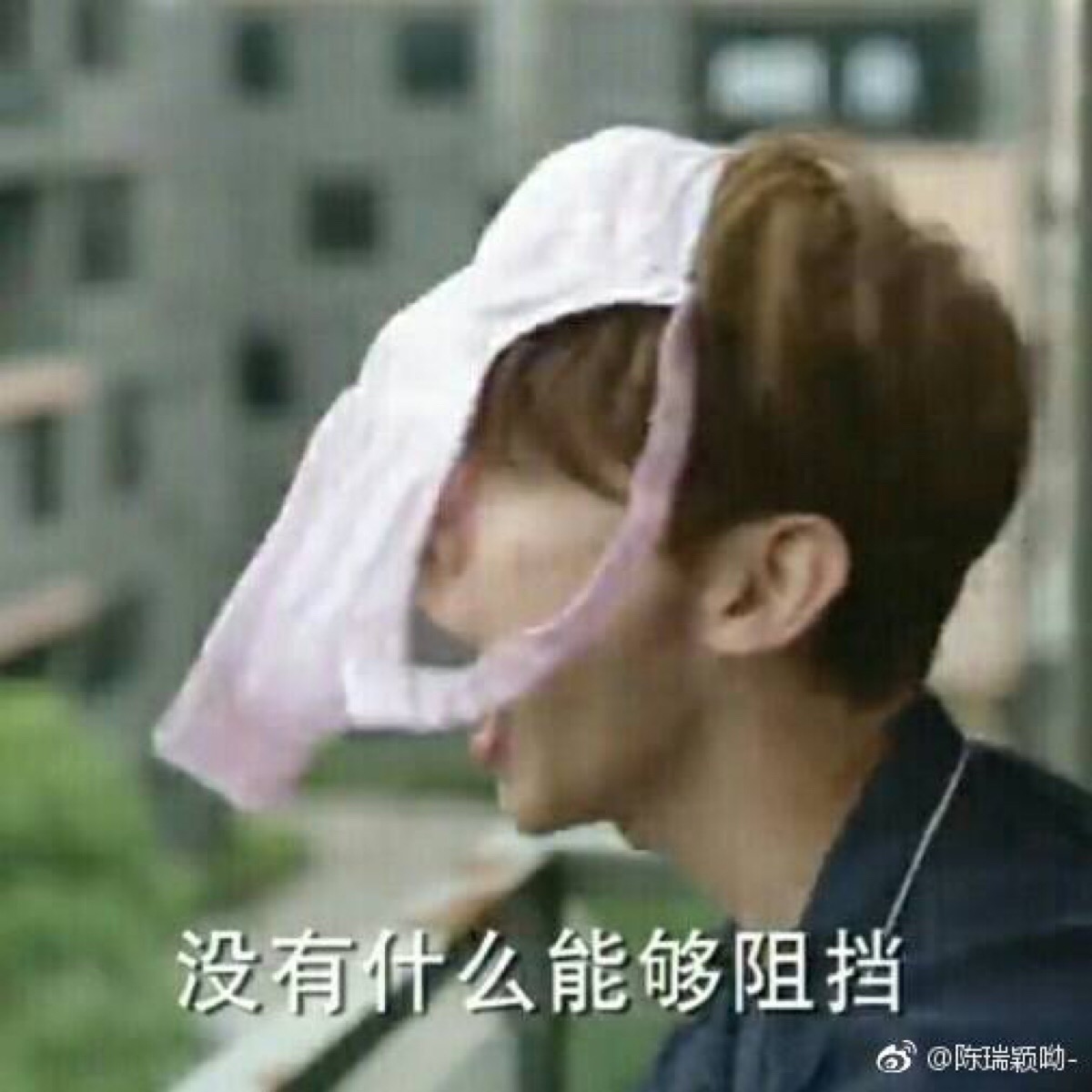 白敬亭 表情包