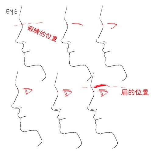 五官的绘制教程&参考,了解人物五官的位置和区域表现