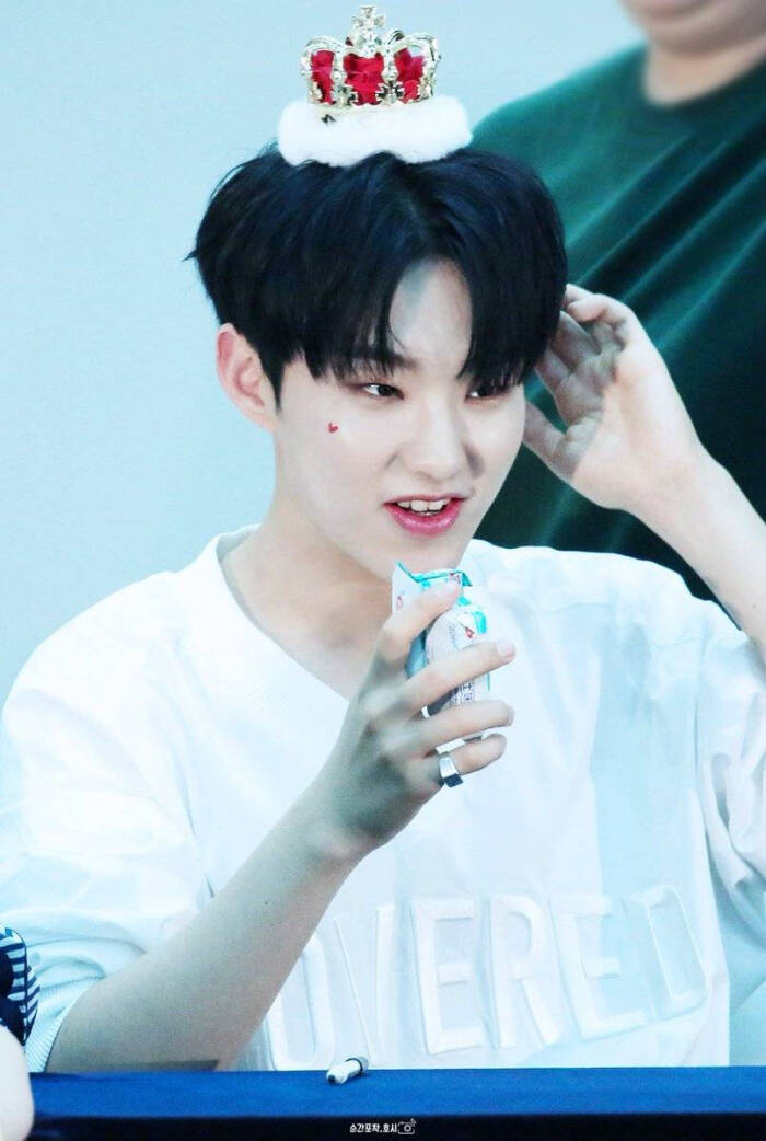 seventeen 权顺荣