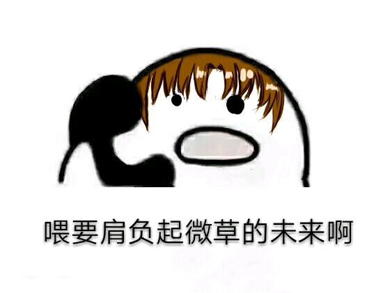 全职高手.表情包