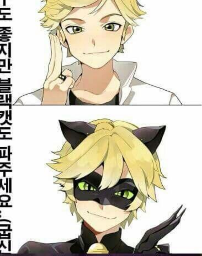 miraculousladybug瓢虫少女瓢虫雷迪黑猫诺儿knowyourmeme