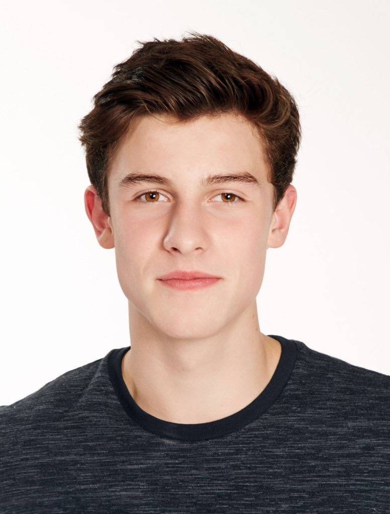 shawn mendes