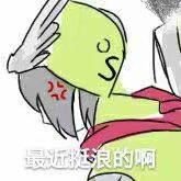 卡米尔 