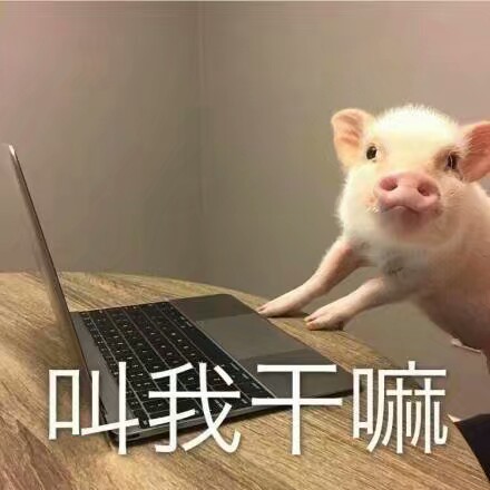 吸猪系列 搞笑 gif 暴走漫画 文字控 斗图 表情包 金馆长表情包 装逼
