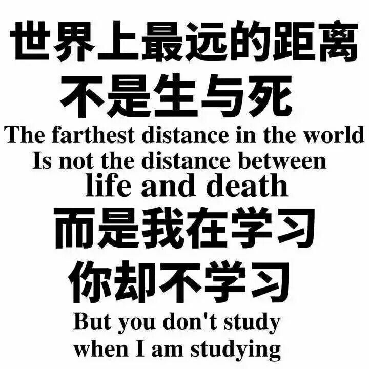 学习专用#学霸学渣