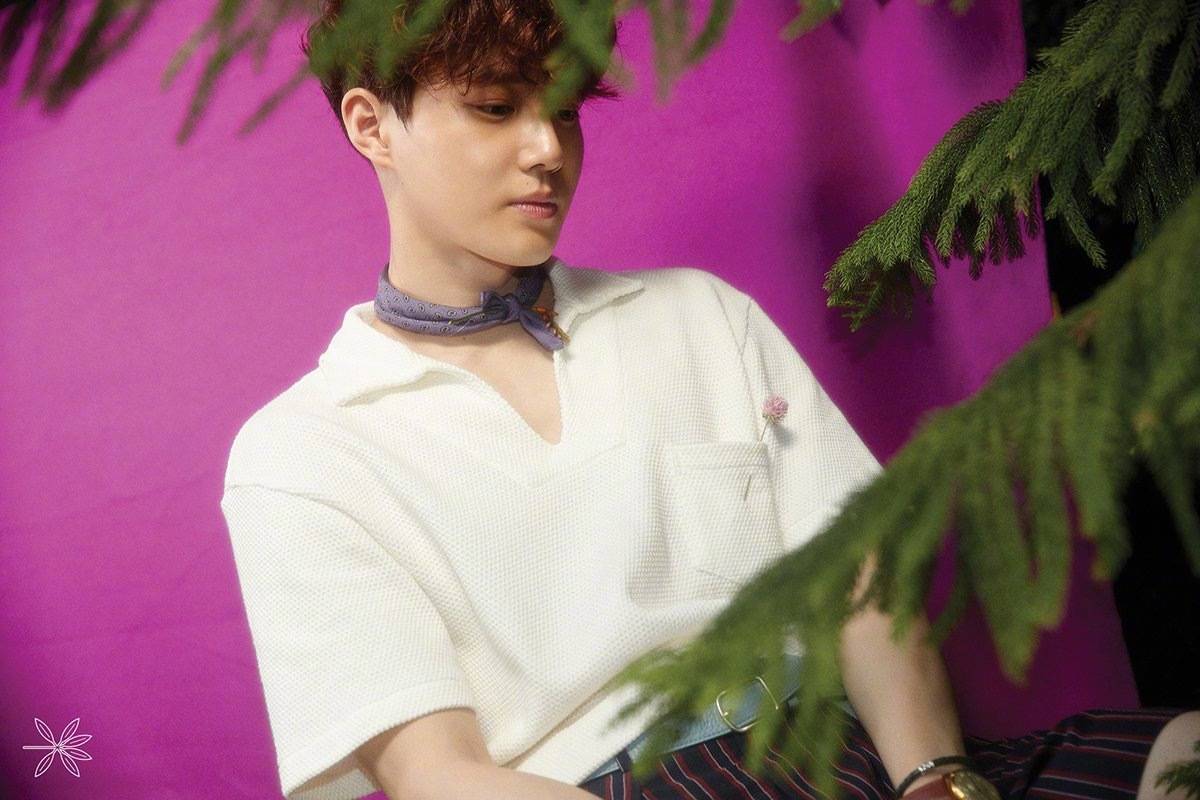 exo金俊绵(suho)回归高清壁纸