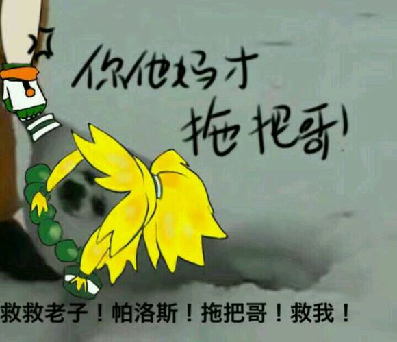 表情表情世界侵删熊猫图片凹凸包头头图片