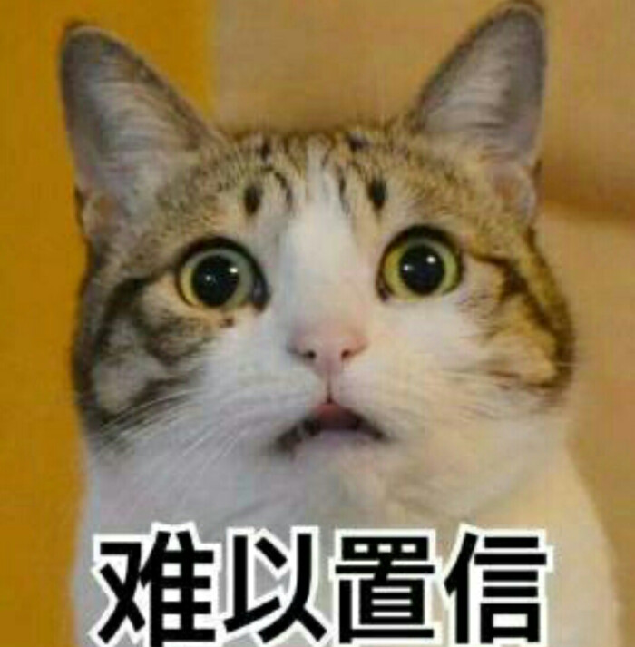 猫动态可爱萌赵丽颖表情图大全图片表情图片