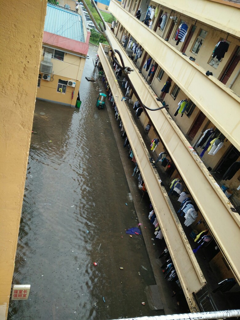 15号大风大雨 宿舍楼下成了鱼塘