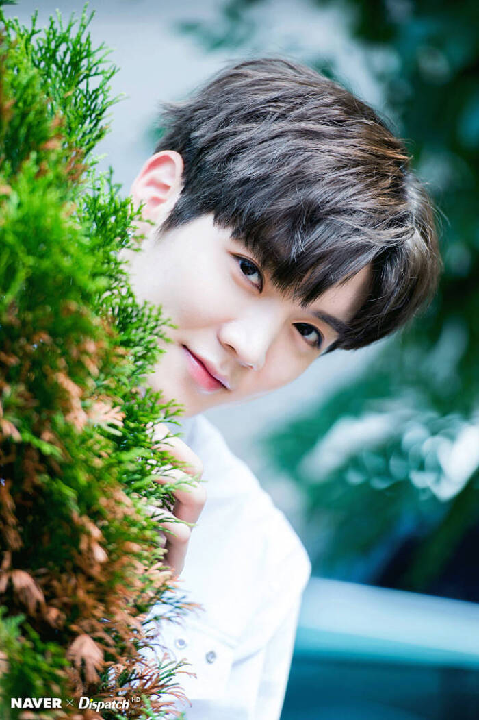 男版produce101 nu'est 崔珉起