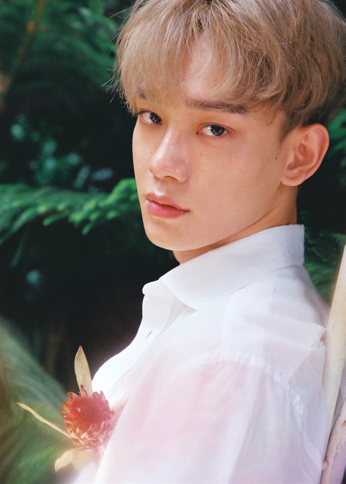 exo 四辑 kokobop 高清 壁纸 chen 金钟大