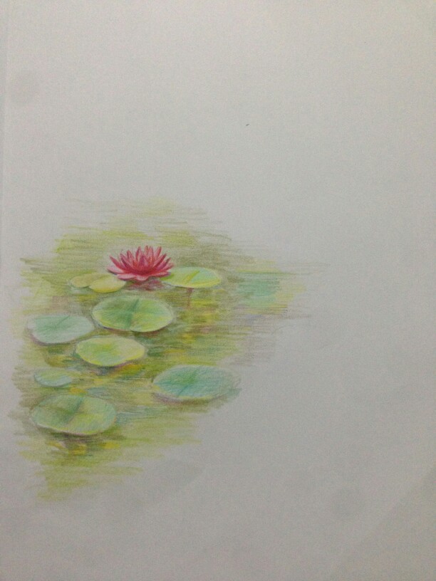 彩铅,荷花,插画,色彩,植物,荷叶,风景