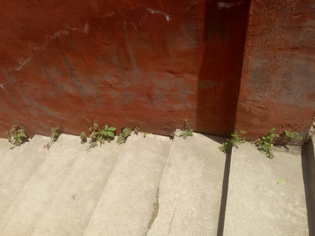 阳光下的墙角