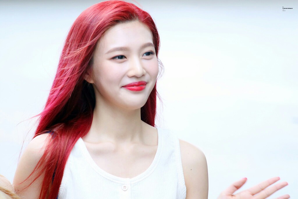 red velvet朴秀荣joy