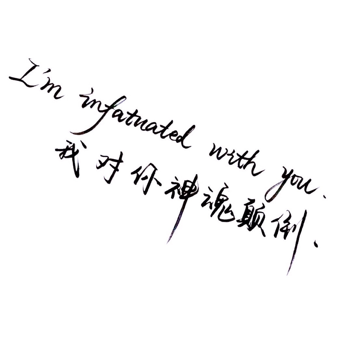 手写 文字 白底 极简 by:可爱雯. 喜欢就收集我好更新?图片