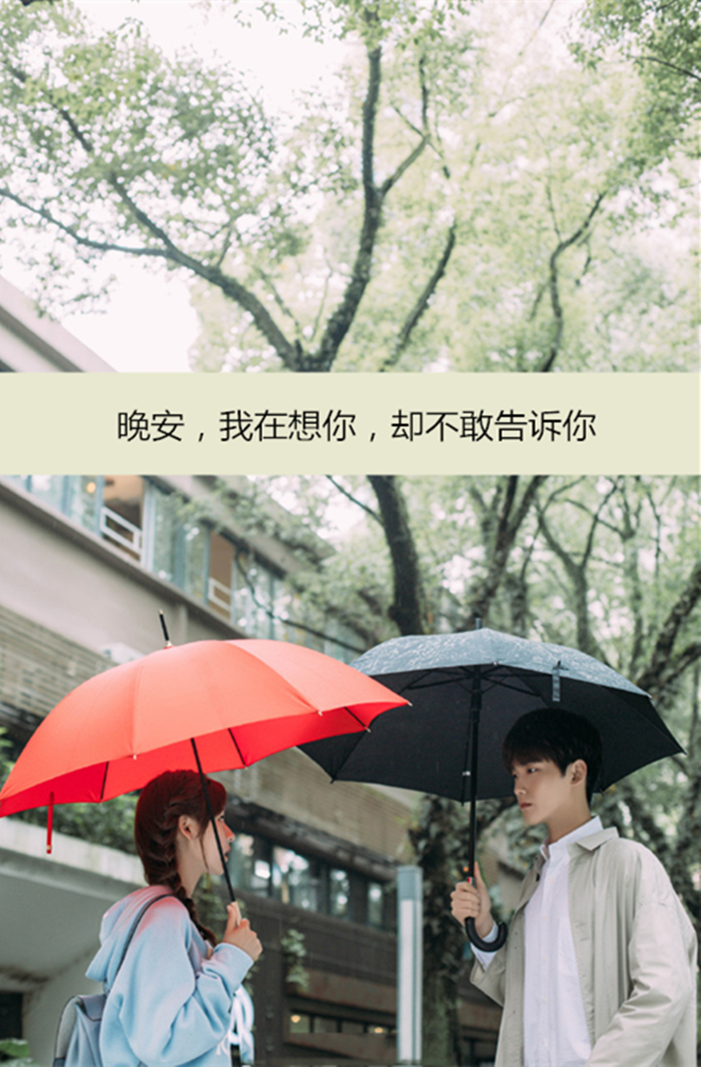 晚安,我在想你,却不敢告诉你