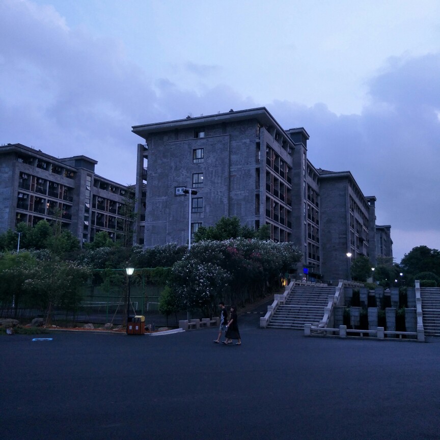 也许再也不会回去的杭科院